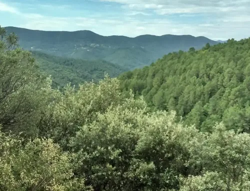Parc national des Cévennes : une destination incontournable depuis notre camping