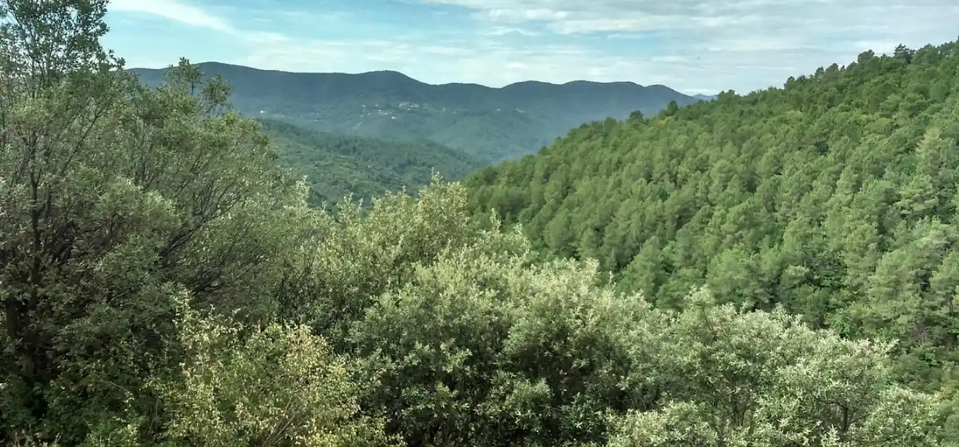 Parc national des Cévennes