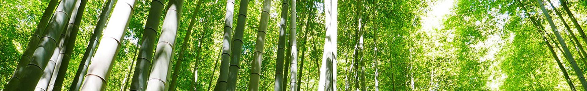 la-bambouseraie La Bambouseraie